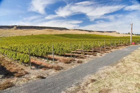 73809 Rattlesnake Rd, Arlington, OR 97812