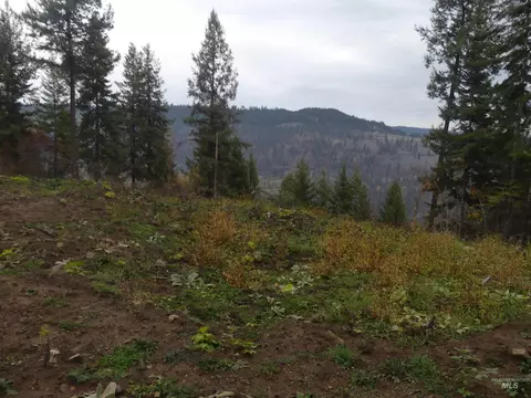 1684 Tranquil Ln, Orofino, ID 83544
