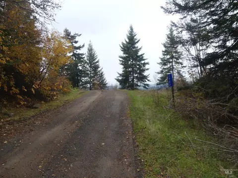 1762 Tranquil Ln, Orofino, ID 83544