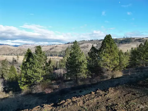 tbd Canyon Rd, Kooskia, ID 83539