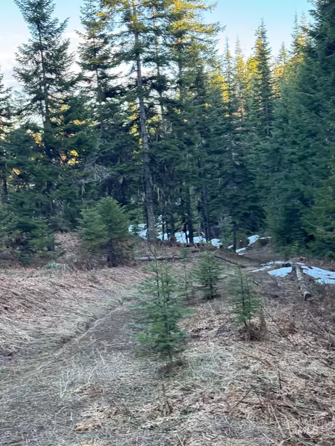 tbd Highway 11, Weippe, ID 83553 photo 11