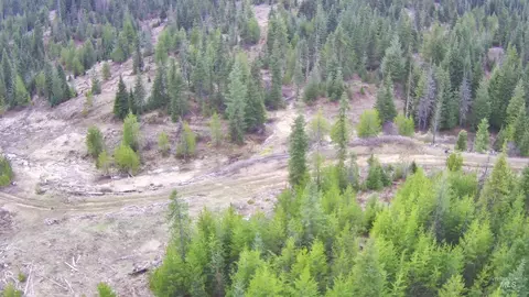tbd Highway 11, Weippe, ID 83553 photo 26