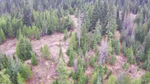 tbd Highway 11, Weippe, ID 83553 photo 28