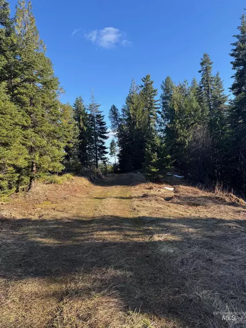 tbd Highway 11, Weippe, ID 83553 photo 15
