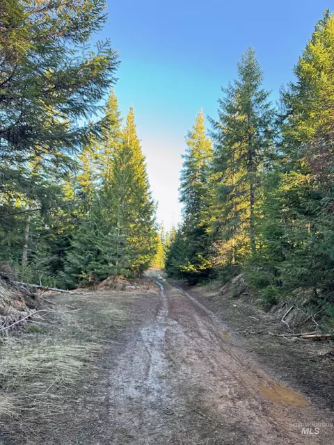 tbd Highway 11, Weippe, ID 83553 photo 14