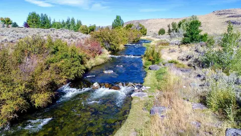 View/Area - 249 Priest Rd, Picabo, ID 83313 photo 3 of 7