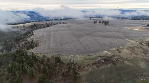 2439 Albers Rd, Nezperce, ID 83543