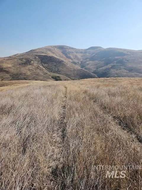 To Be Created Third Fork South Parcel 2, Ola, ID 83657