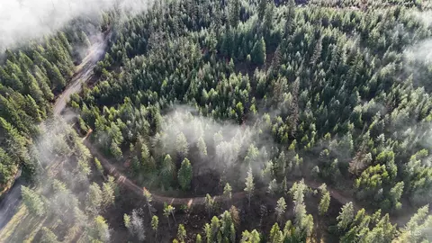 tbd Johnston Mill Road Parcel 3, Orofino, ID 83544