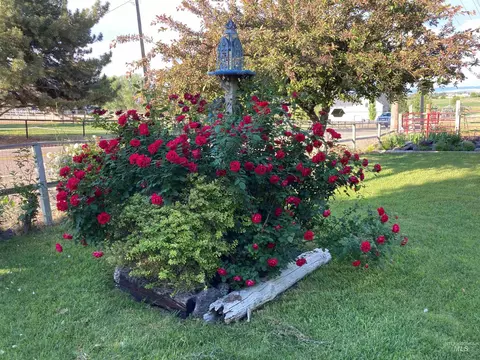 Exterior - 603 E King Rd, Kuna, ID 83634 photo 9 of 11