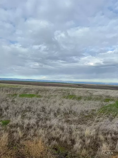 lot11 A Tbd Pheasant Loop Rd, Lewiston, ID 83501 photo 2