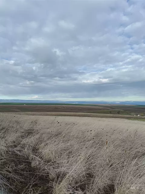 lot13 A Tbd Pheasant Loop, Lewiston, ID 83501