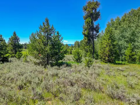 241 W Jug Rd, Mccall, ID 83638 photo 27