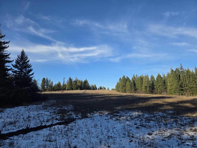 407 Memory Ln, Orofino, ID 83544