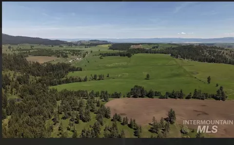 tbd Rieman Rd, Cottonwood, ID 83522