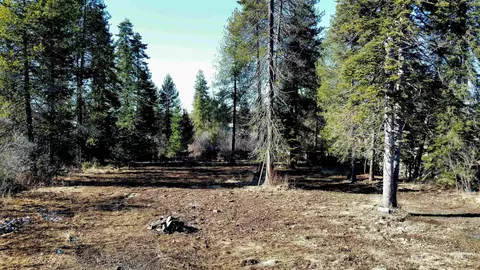 92 Rouleau Loop, Weippe, ID 83531 photo 6