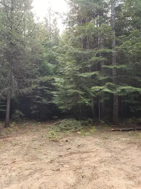 80 E Ridge Dr, Saint Maries, ID 83861