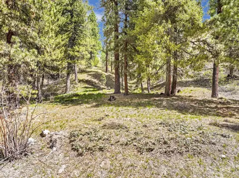 tbd Trinity Creek Rd, Featherville, ID 83647
