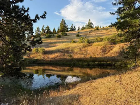 993 Norton Knob Ln, Orofino, ID 83544