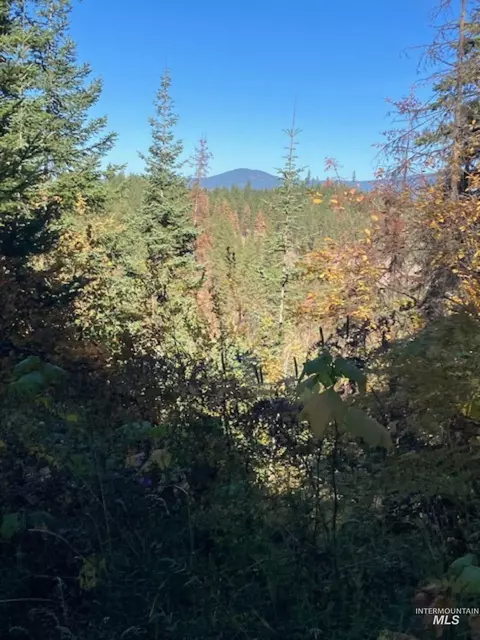 tbd Glacier Dr, Saint Maries, ID 83861