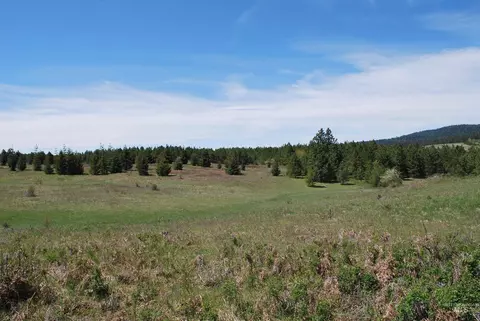 Other - 4975 Middle Rd, Lenore, ID 83541 photo 7 of 18
