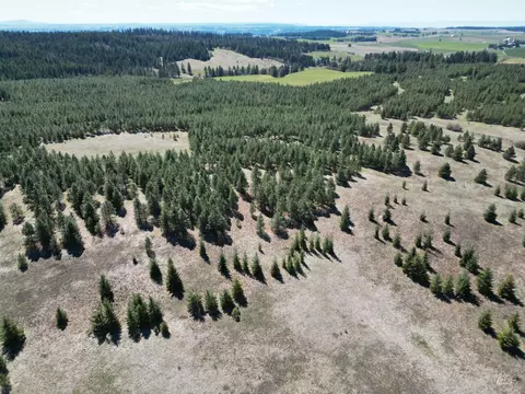 tbd Middle Rd, Lenore, ID 83541 photo 9