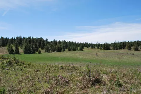 tbd Middle Rd, Lenore, ID 83541 photo 22
