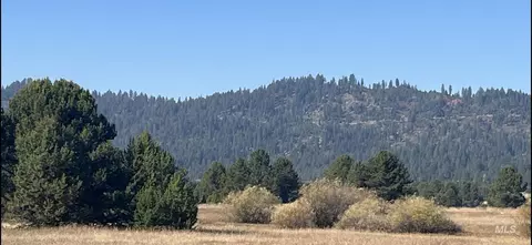 100 Herrick Ln, Cascade, ID 83611 photo 3