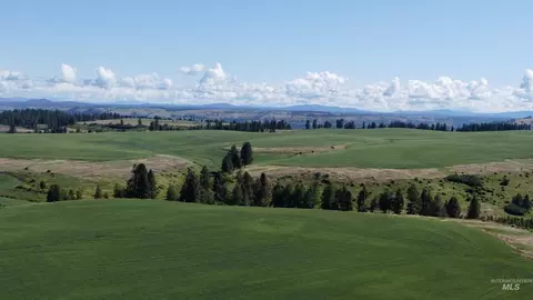 tbd Basket Rd Parcel 2, Nezperce, ID 83543