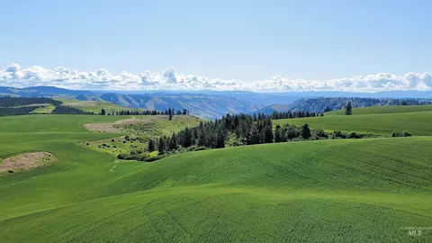 tbd Basket Rd, Nezperce, ID 83543