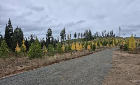 tbd French Gulch Parcel 3, Elk City, ID 83525