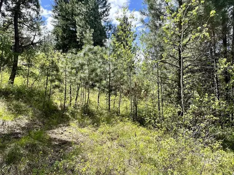 T75 Li Cabarton Road, Cascade, ID 83611 photo 5