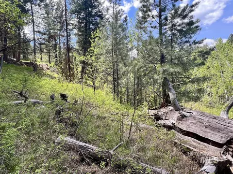 T75 Li Cabarton Road, Cascade, ID 83611 photo 9