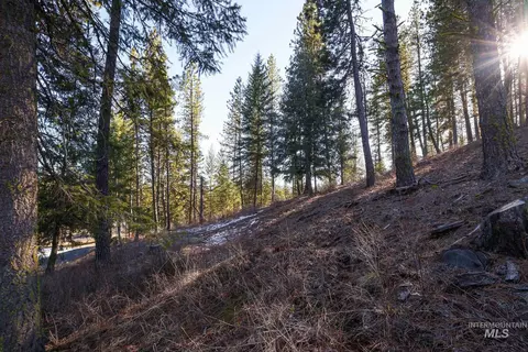 lot7 Camas Dr, New Meadows, ID 83654