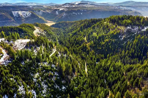 Nka Philips Draw Rd., Saint Maries, ID 83861