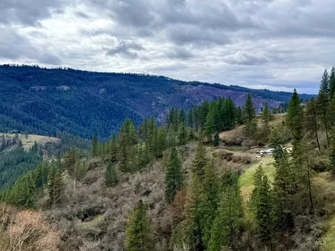 620 Old Peck Grade, Lenore, ID 83541