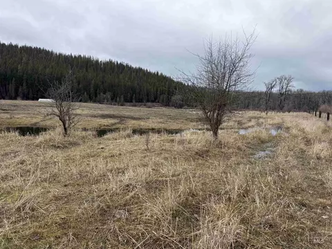 tbd Bare Land Parcel 2, Clarkia, ID 83812