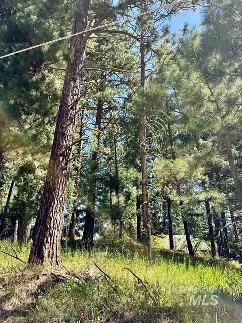 697 N Samson Trl, Mccall, ID 83638 photo 3