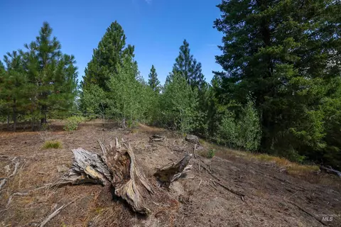 47 Coit Dr, Cascade, ID 83611 photo 12