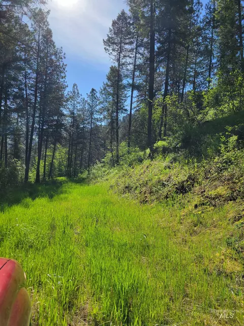 tbd Twisted Tree Ln, Peck, ID 83545 photo 8