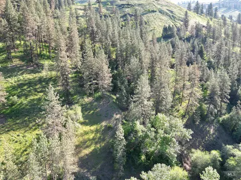 tbd Twisted Tree Ln, Peck, ID 83545 photo 38