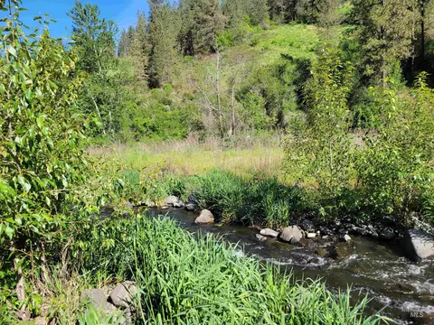 tbd Twisted Tree Ln, Peck, ID 83545 photo 15