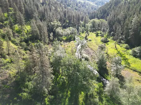 tbd Twisted Tree Ln, Peck, ID 83545 photo 35