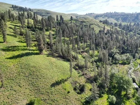 tbd Twisted Tree Ln, Peck, ID 83545 photo 48