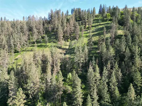 tbd Twisted Tree Ln, Peck, ID 83545 photo 20