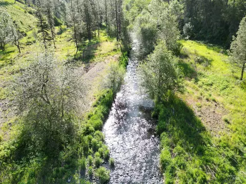 tbd Twisted Tree Ln, Peck, ID 83545 photo 32