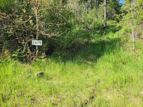 tbd Twisted Tree Ln, Peck, ID 83545 photo 9