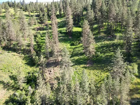 tbd Twisted Tree Ln, Peck, ID 83545 photo 39