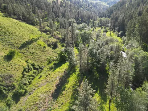 tbd Twisted Tree Ln, Peck, ID 83545 photo 34