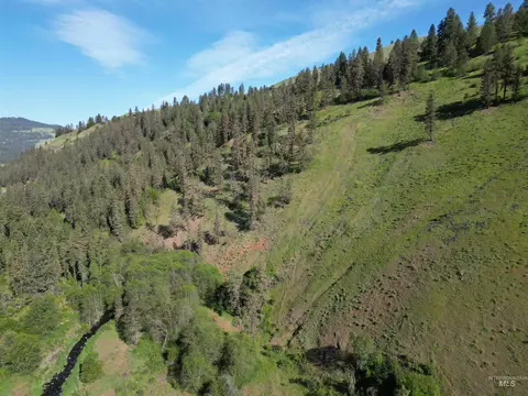 tbd Twisted Tree Ln, Peck, ID 83545 photo 49